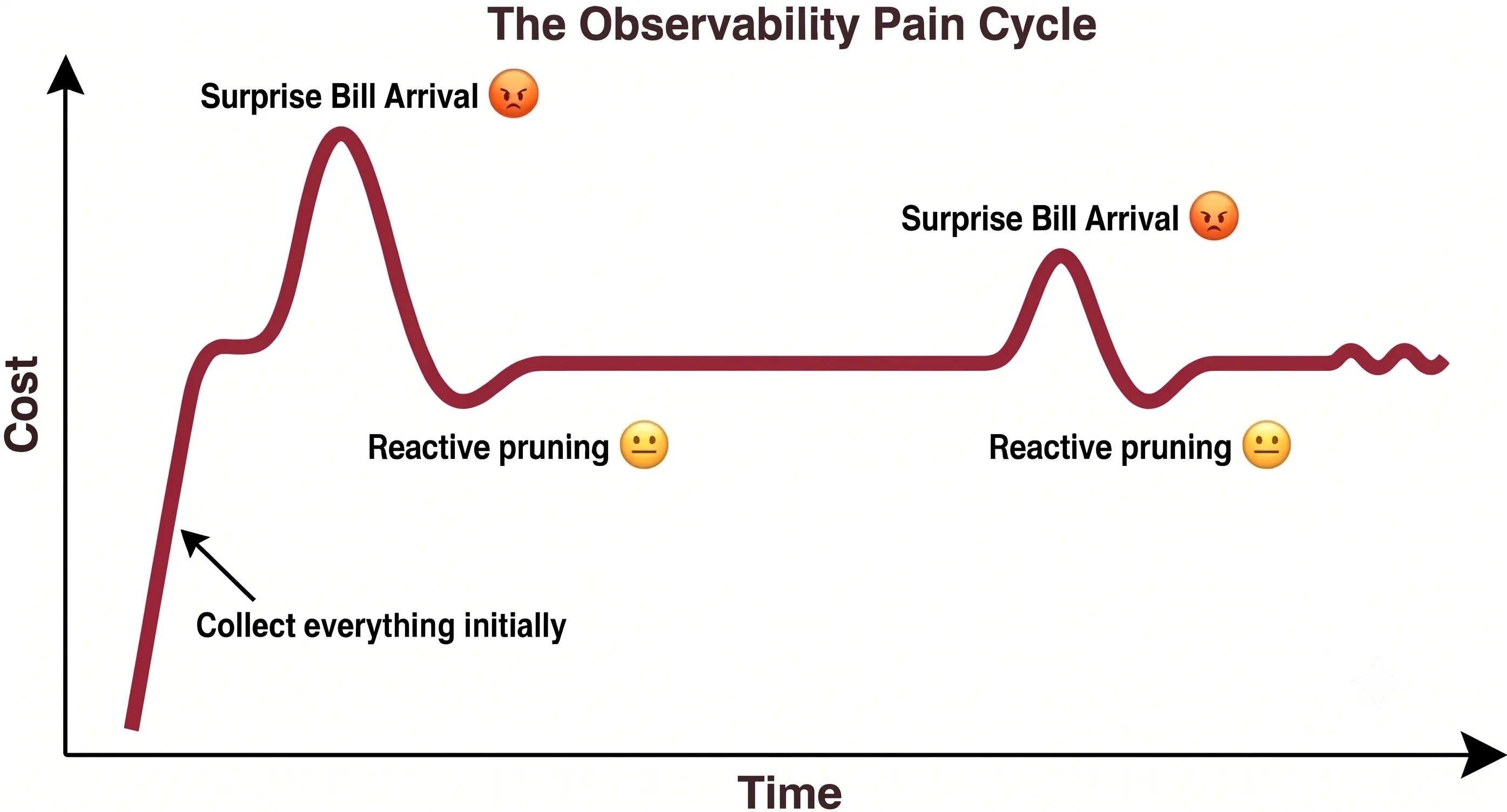 The Pain Cycle chart: cost over time showing two cycles of bill shock followed by reactive pruning